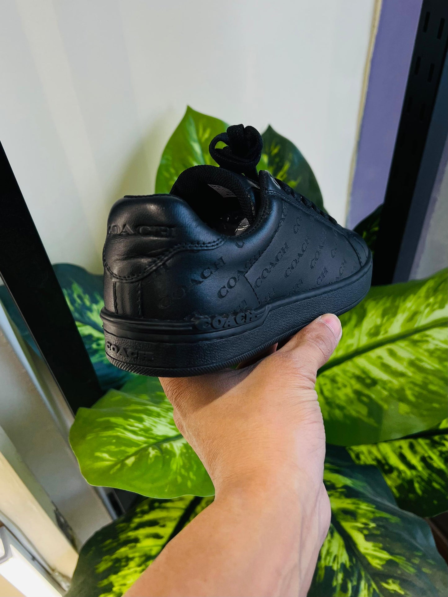 Shoes coach sneakers black