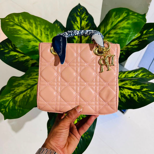 Ladies bag christian dior