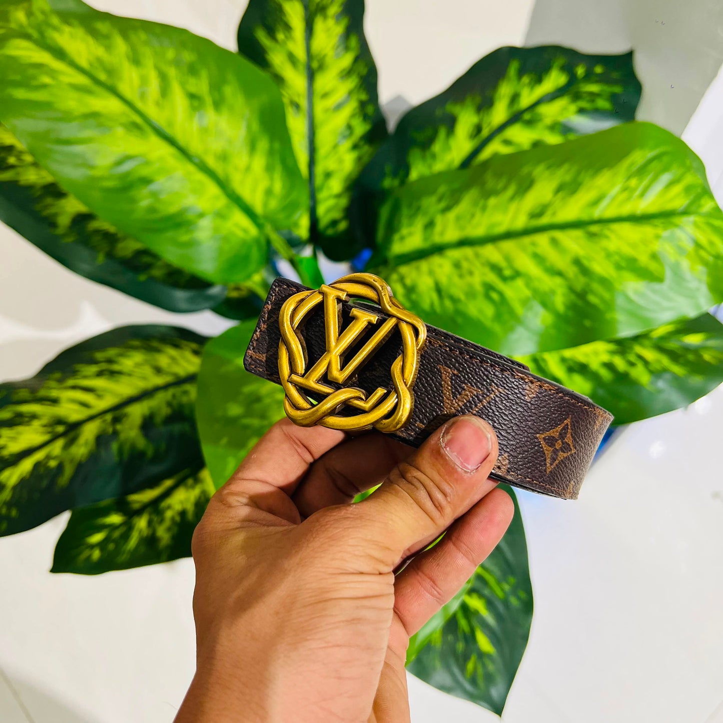 Belt lv hook