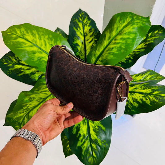 Ladies bag coach