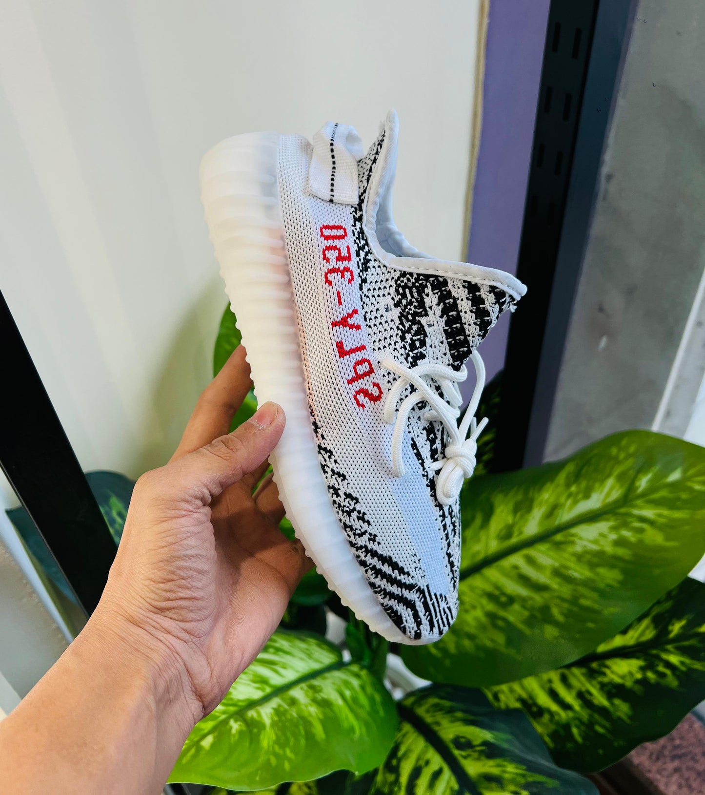 Shoes adidas yeezy 350 zebra