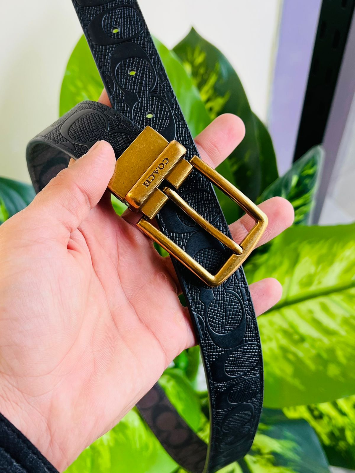 Belt coach reversible