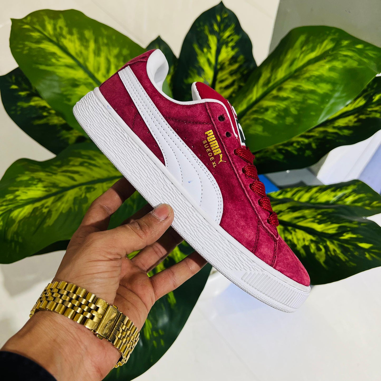 Shoes puma red mehroon wine 🍷