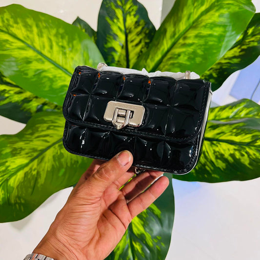 Ladies bags charles & keith