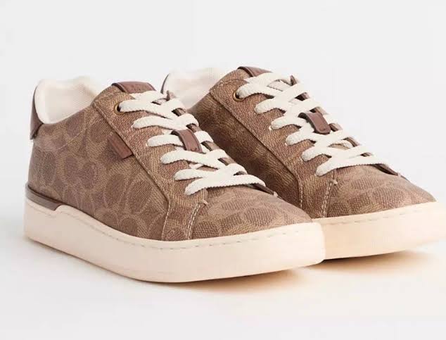 Shoes coach sneakers brown off white british tan