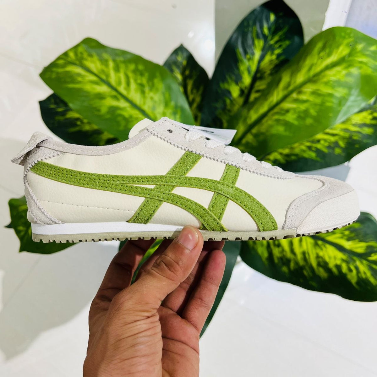 Shoes asics tiger onitsuka british white pine green