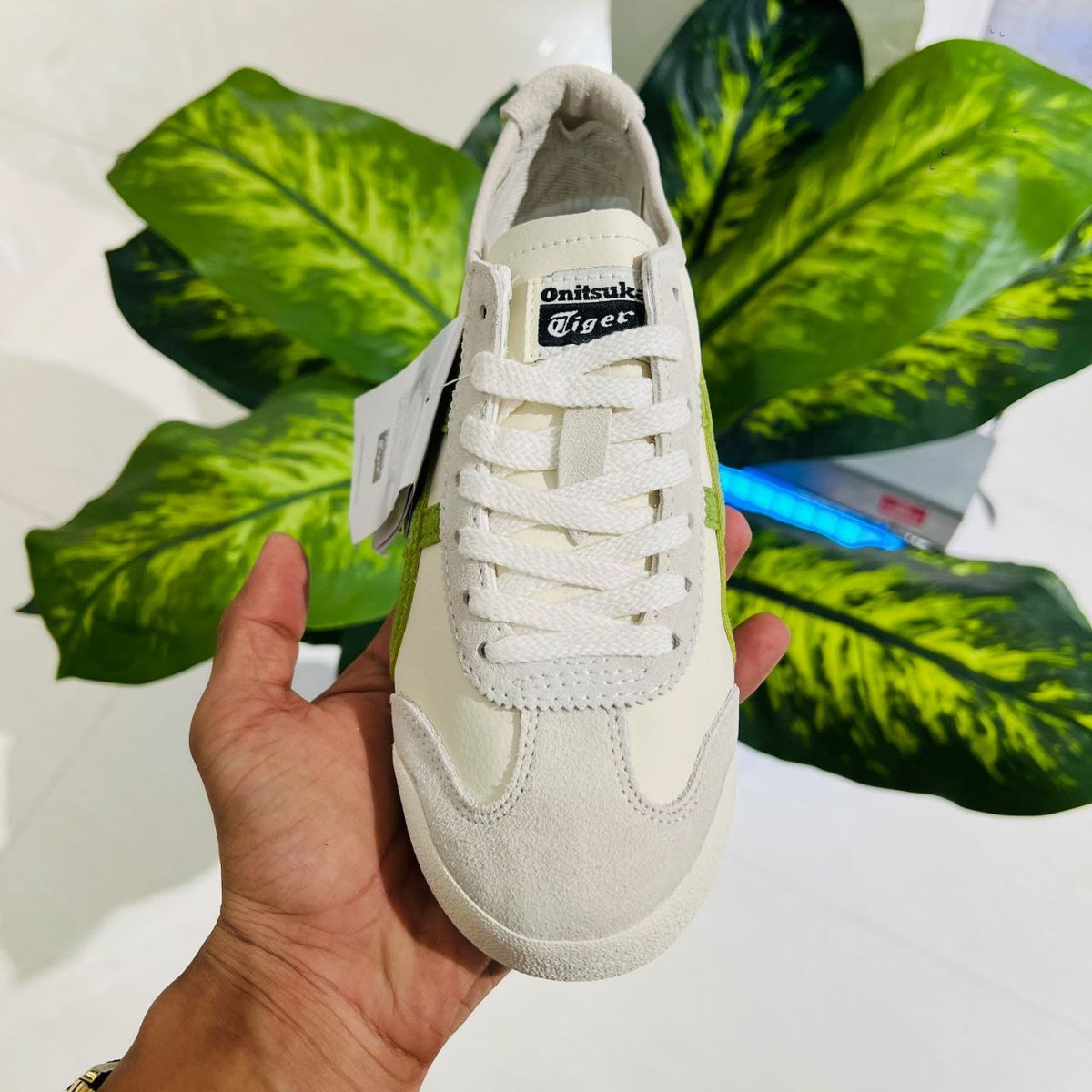 Shoes asics tiger onitsuka british white pine green
