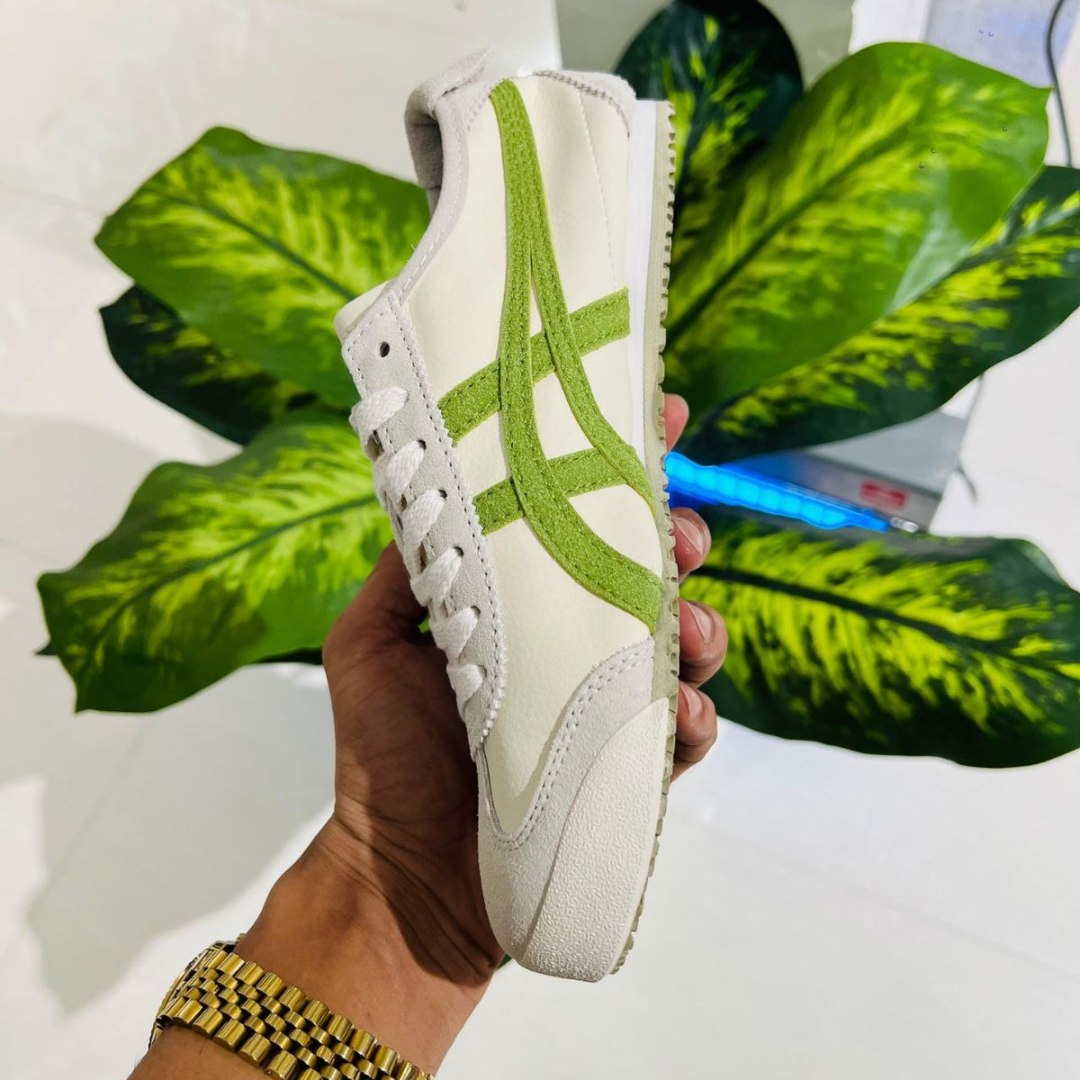 Shoes asics tiger onitsuka british white pine green