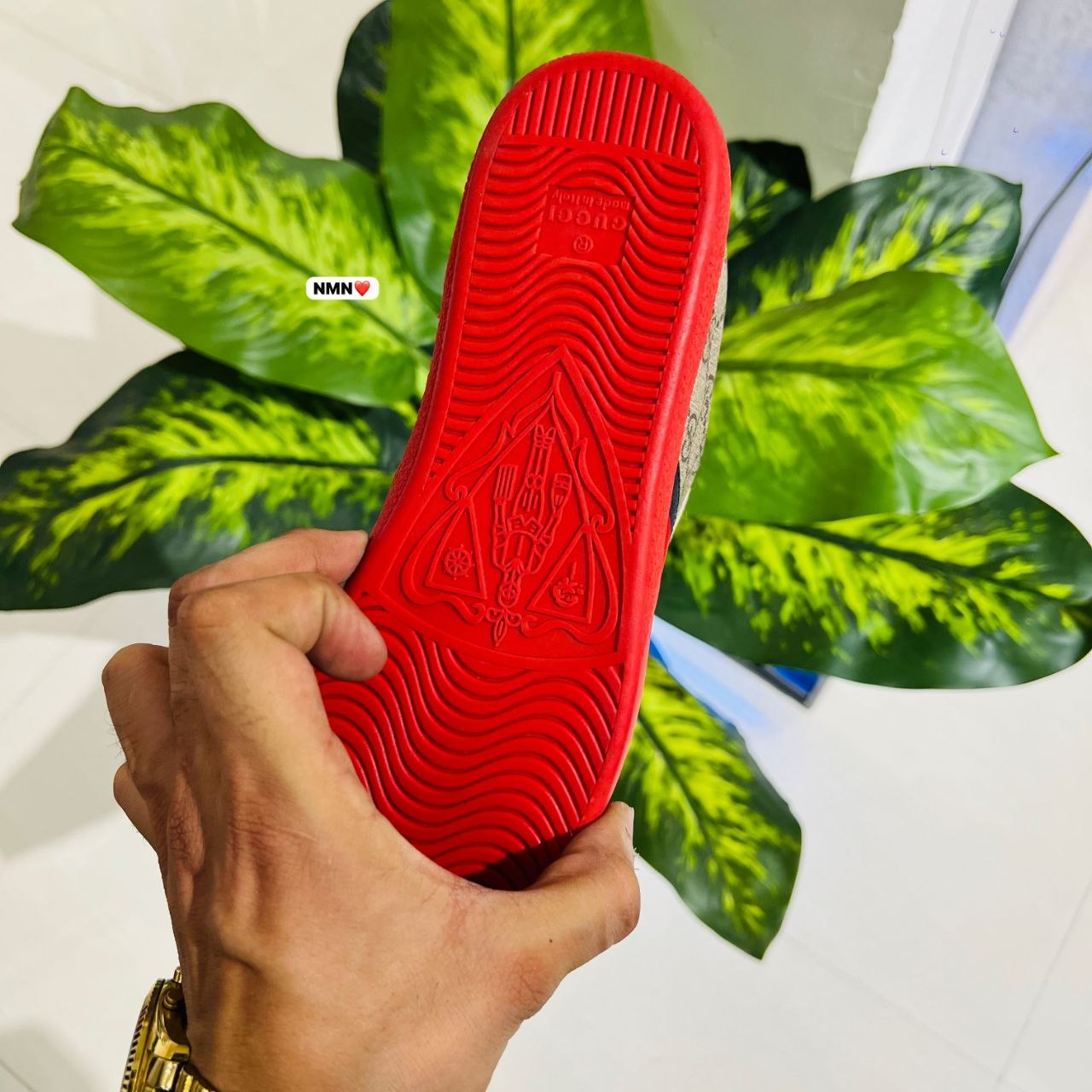 Shoes Gucci sneaker