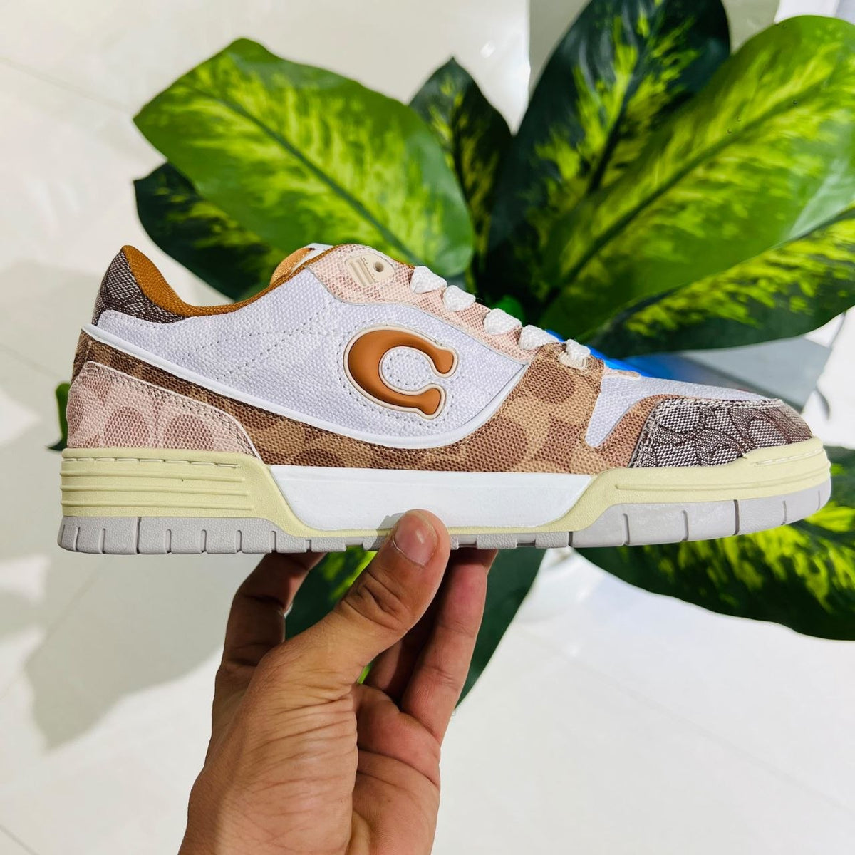 Shoes coach white grey brown