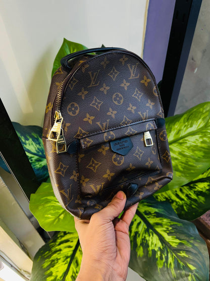 Ladies purse backpack