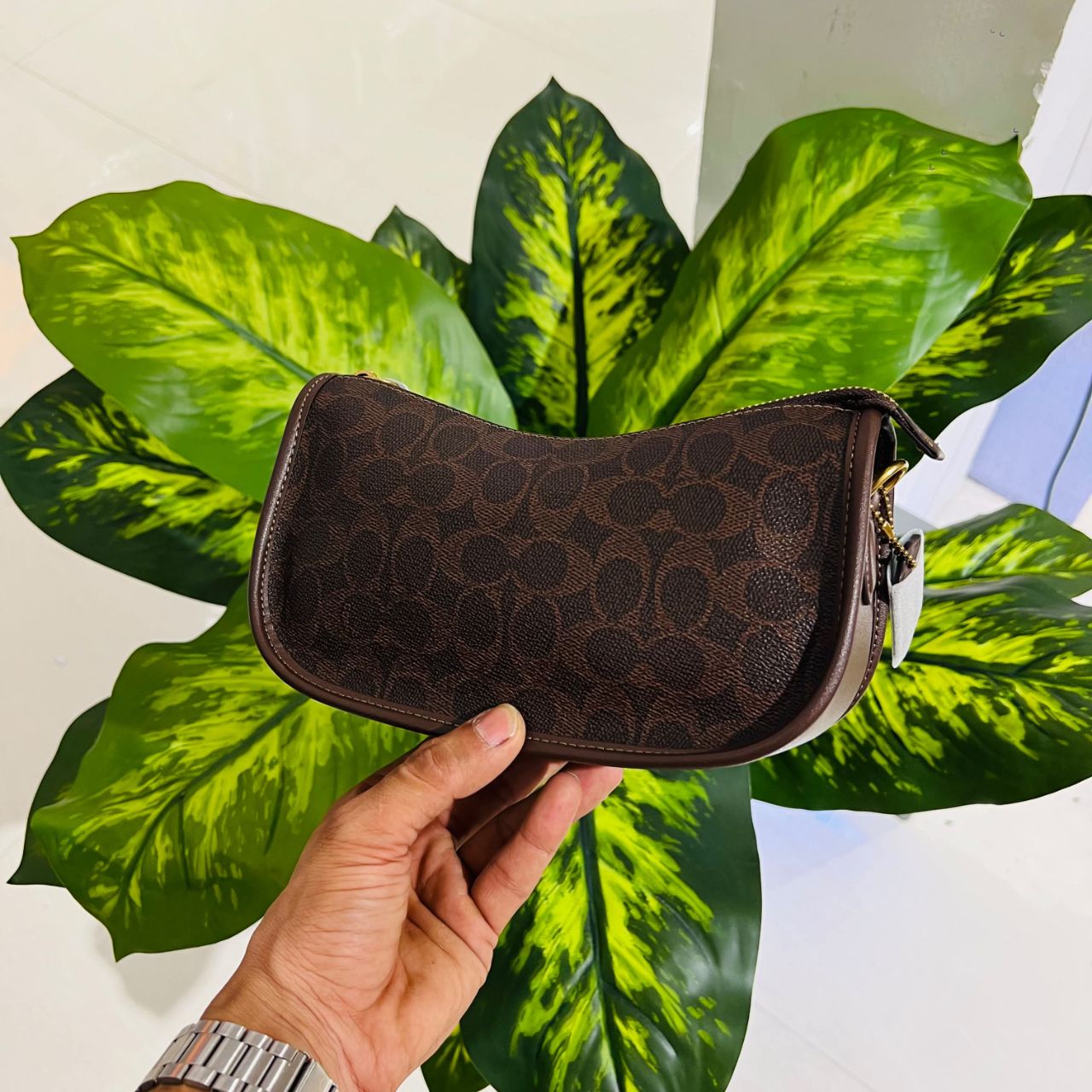 Ladies bag coach