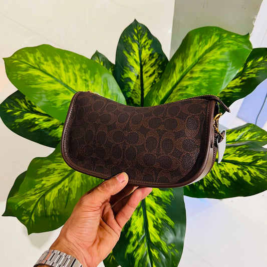 Ladies bag coach