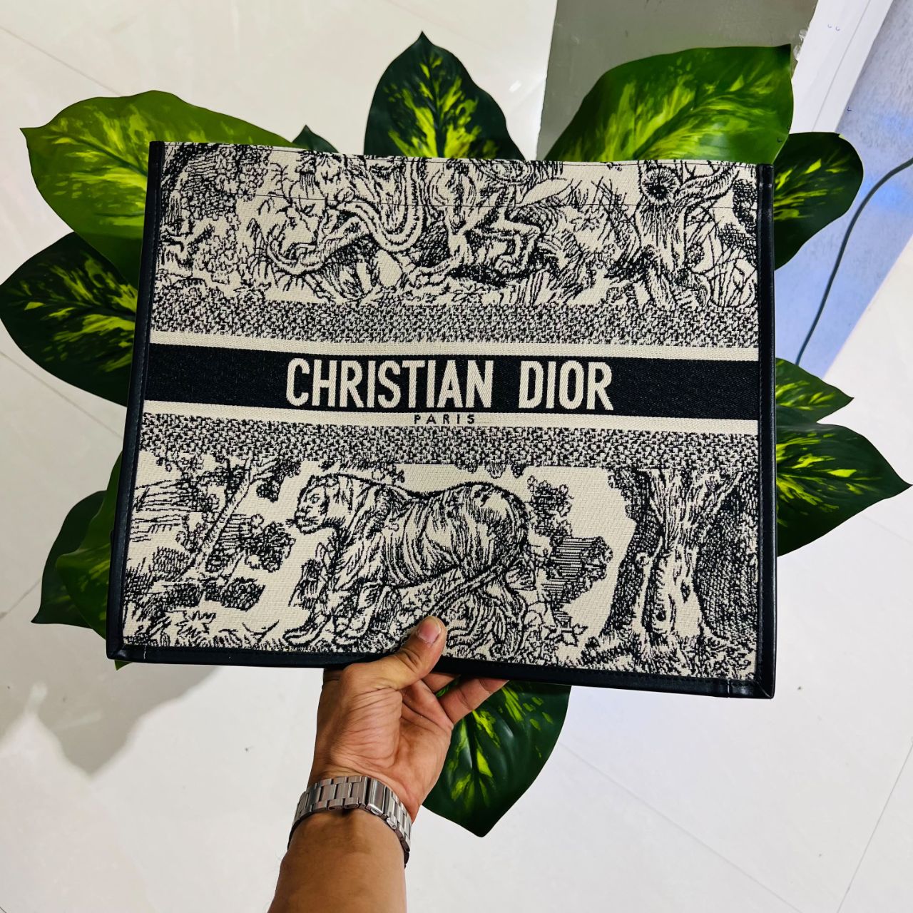 Ladies bag christian dior