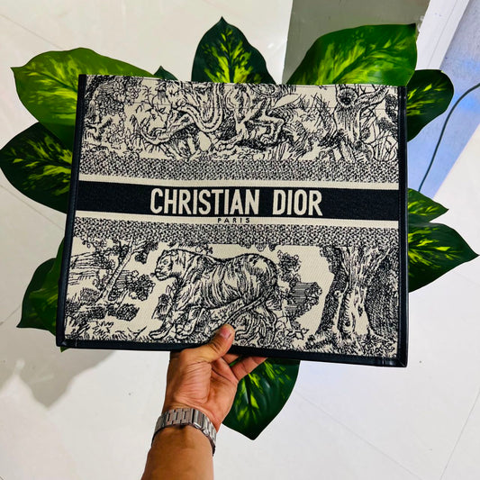 Ladies bag christian dior
