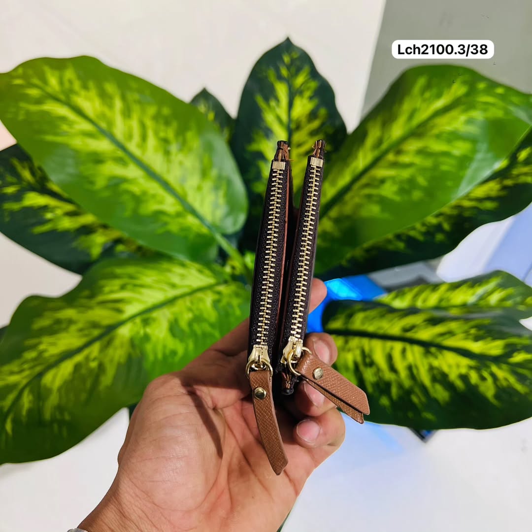 Card holder lv brown zip