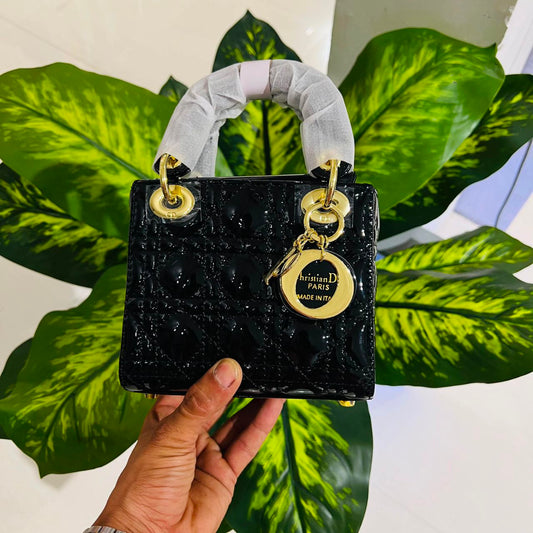 Ladies bag christian dior