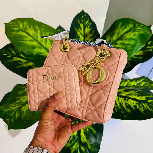 Ladies bag christian dior