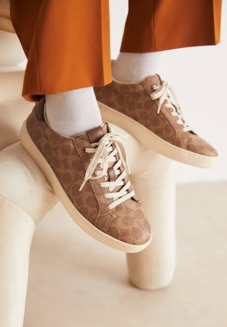 Shoes coach sneakers brown off white british tan