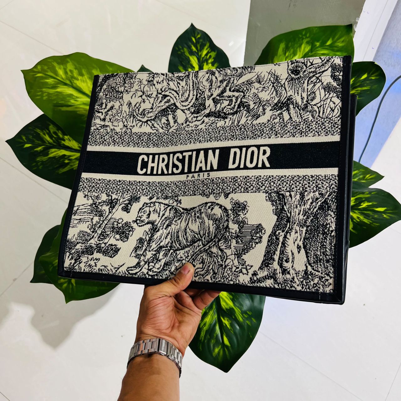 Ladies bag christian dior
