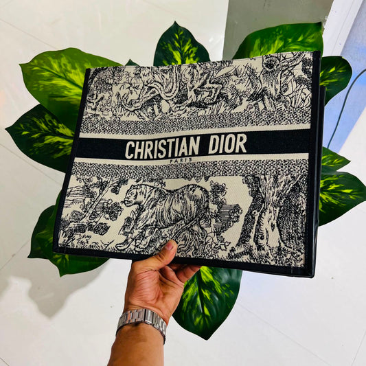 Ladies bag christian dior