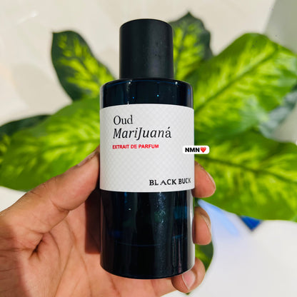Perfume black buck oud marijauna