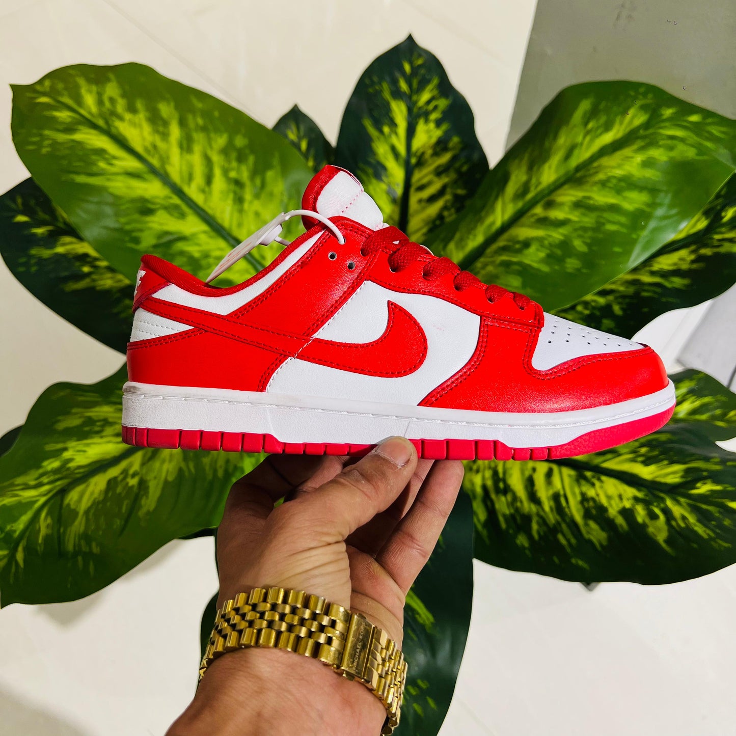 Shoes nike sb dunk red white