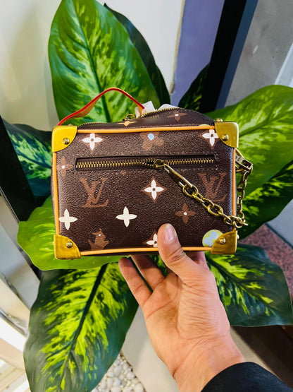 Ladies purse lv