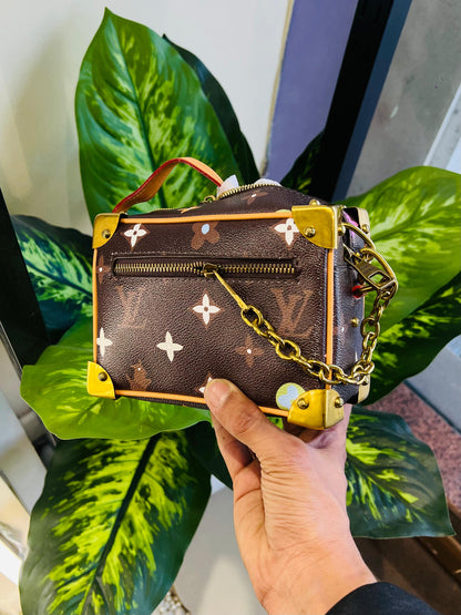 Ladies purse lv