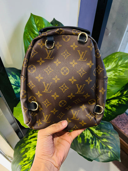 Ladies purse backpack