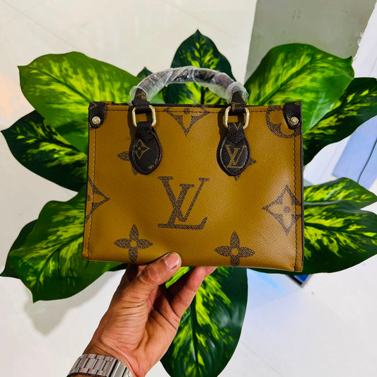 Ladies bag lv