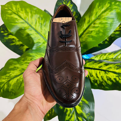 Formal belly laces brown