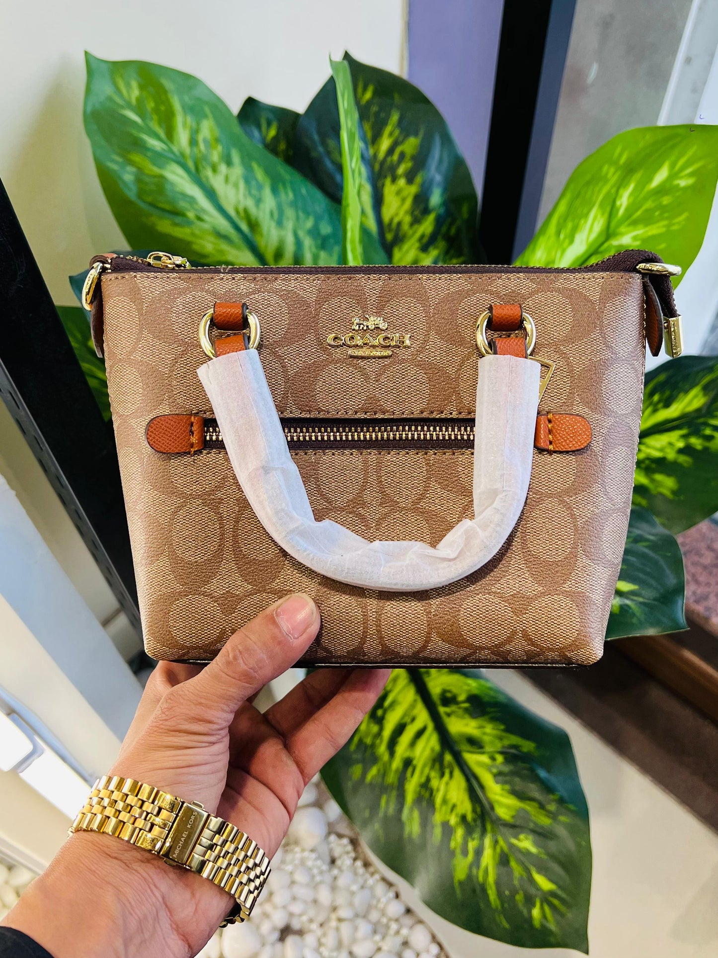 Ladies bag coach