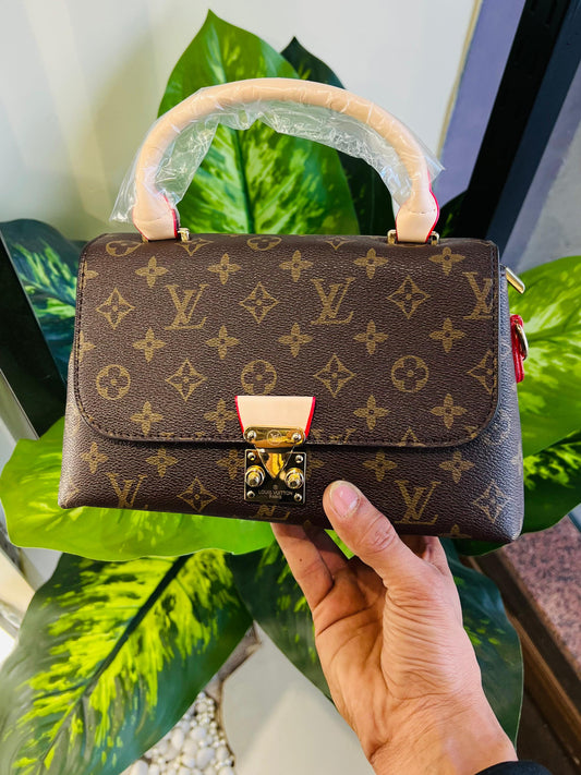 Ladies bag lv
