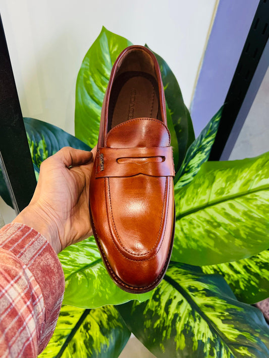 Formal belly coach og wood