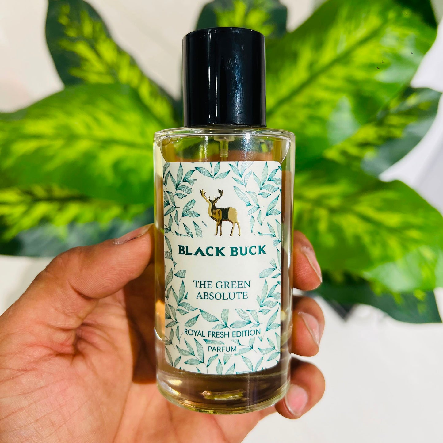 Perfume bb absolute green