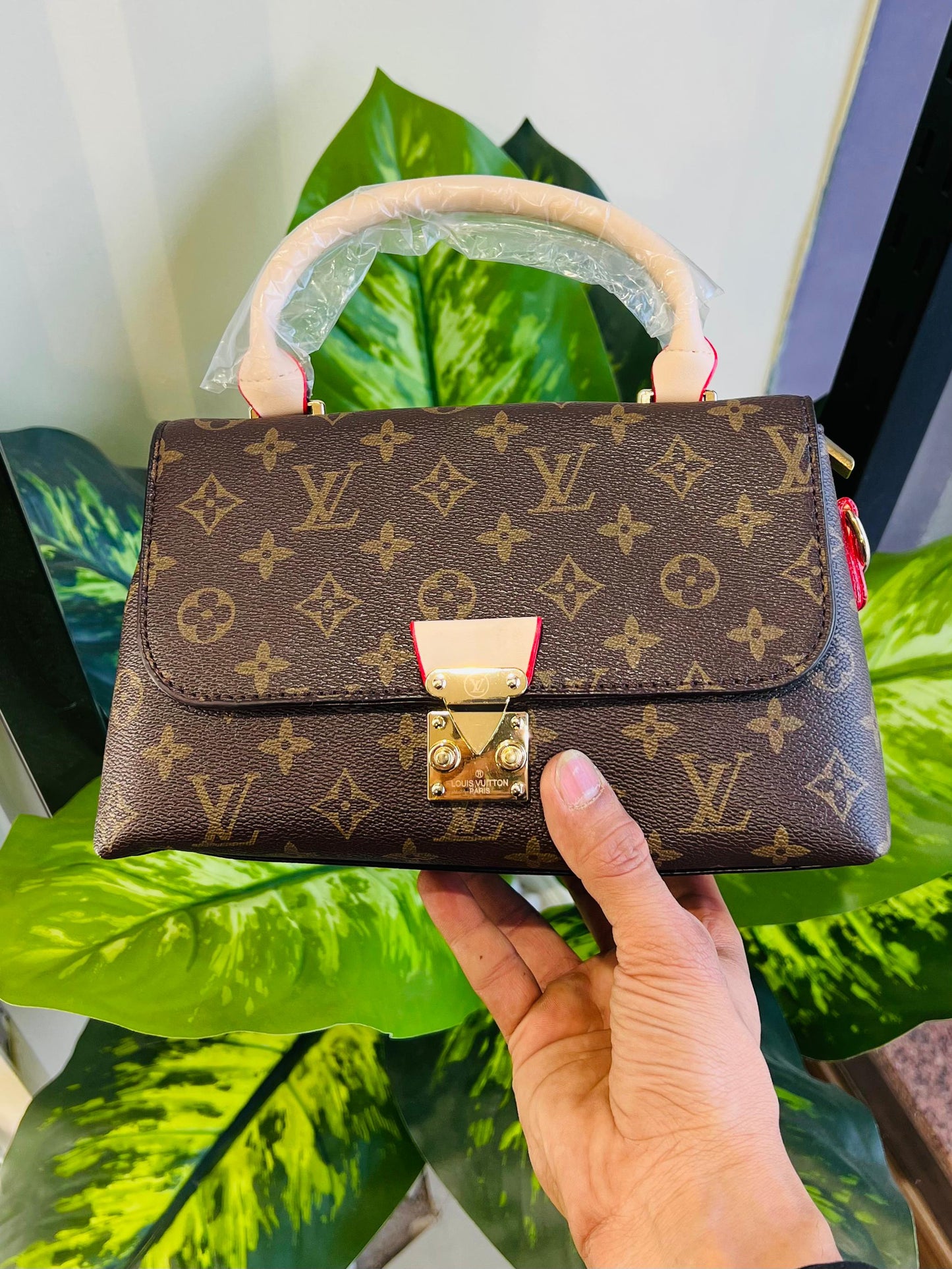 Ladies bag lv