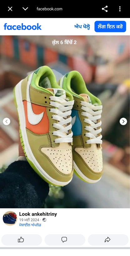 Shoes Nike Dunk Low Pro SB Escargot green orange matching