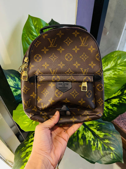 Ladies purse backpack