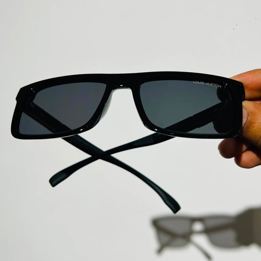 Shades lv wayfarer