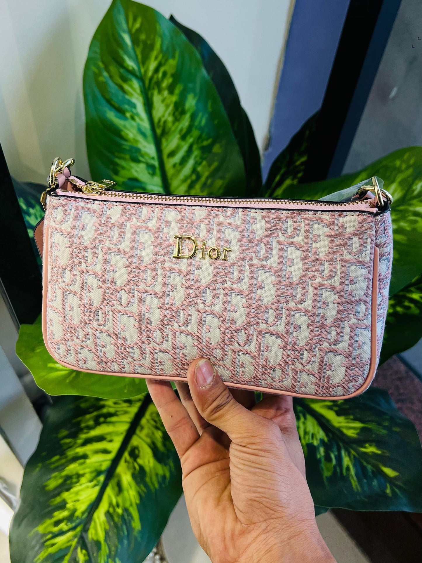 Ladies bag christian dior
