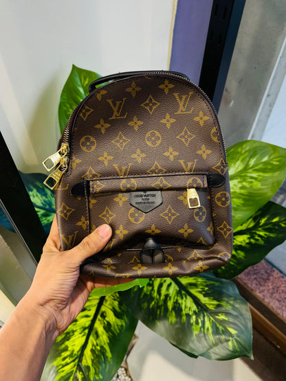 Ladies purse backpack