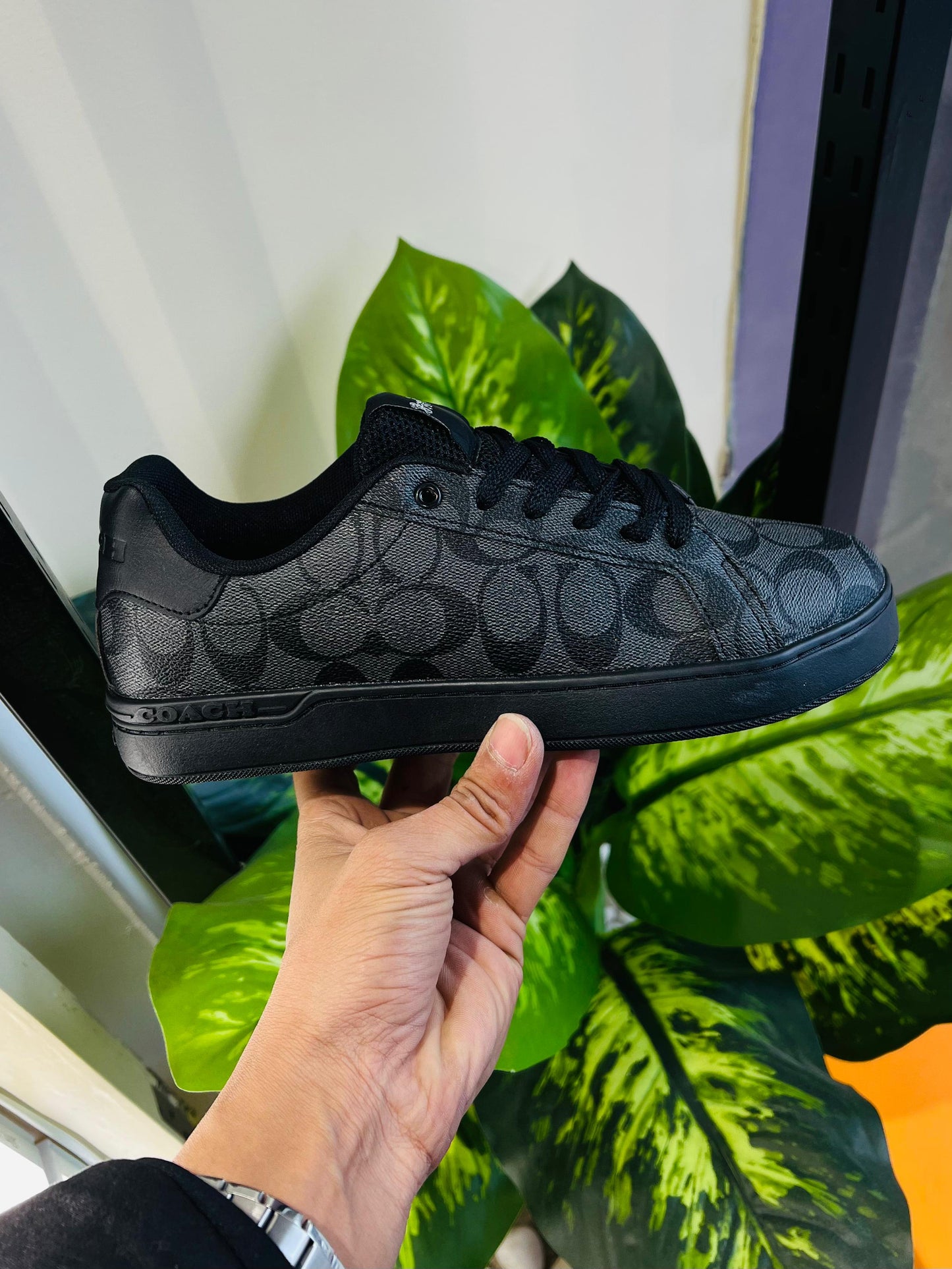 Shoes coach black sneakers